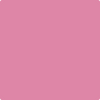 Shop 2078-40 Paradise Pink by Benjamin Moore at Wallauer Paint & Design. Westchester, Putnam, and Rockland County's local Benajmin Moore.