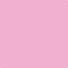 Shop 2078-50 Pink Begonia by Benjamin Moore at Wallauer Paint & Design. Westchester, Putnam, and Rockland County's local Benajmin Moore.