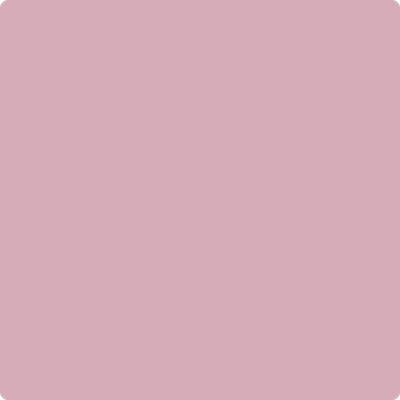 Shop 2082-50 Damask Rose by Benjamin Moore at Wallauer Paint & Design. Westchester, Putnam, and Rockland County's local Benajmin Moore.