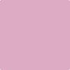 Shop 2083-50 Pink Pansy by Benjamin Moore at Wallauer Paint & Design. Westchester, Putnam, and Rockland County's local Benajmin Moore.