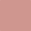 Shop 2093-40 Belladonna Lily by Benjamin Moore at Wallauer Paint & Design. Westchester, Putnam, and Rockland County's local Benajmin Moore.
