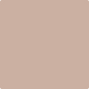 Shop 2096-50 Light Cappuccino by Benjamin Moore at Wallauer Paint & Design. Westchester, Putnam, and Rockland County's local Benajmin Moore.