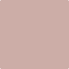 Shop 2102-50 Rose Bisque by Benjamin Moore at Wallauer Paint & Design. Westchester, Putnam, and Rockland County's local Benajmin Moore.