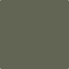 Shop 2140-30 Dark Olive by Benjamin Moore at Wallauer Paint & Design. Westchester, Putnam, and Rockland County's local Benajmin Moore.