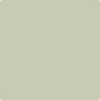 Shop 2144-40 Soft Fern by Benjamin Moore at Wallauer Paint & Design. Westchester, Putnam, and Rockland County's local Benajmin Moore.