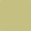 Shop 2147-40 Dill Pickle by Benjamin Moore at Wallauer Paint & Design. Westchester, Putnam, and Rockland County's local Benajmin Moore.