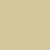 Shop 2148-40 Light Khaki by Benjamin Moore at Wallauer Paint & Design. Westchester, Putnam, and Rockland County's local Benajmin Moore.