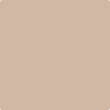 Shop 2164-50 Saint Martin Sand by Benjamin Moore at Wallauer Paint & Design. Westchester, Putnam, and Rockland County's local Benajmin Moore.