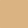 Shop 2165-40 Dark Beige by Benjamin Moore at Wallauer Paint & Design. Westchester, Putnam, and Rockland County's local Benajmin Moore.