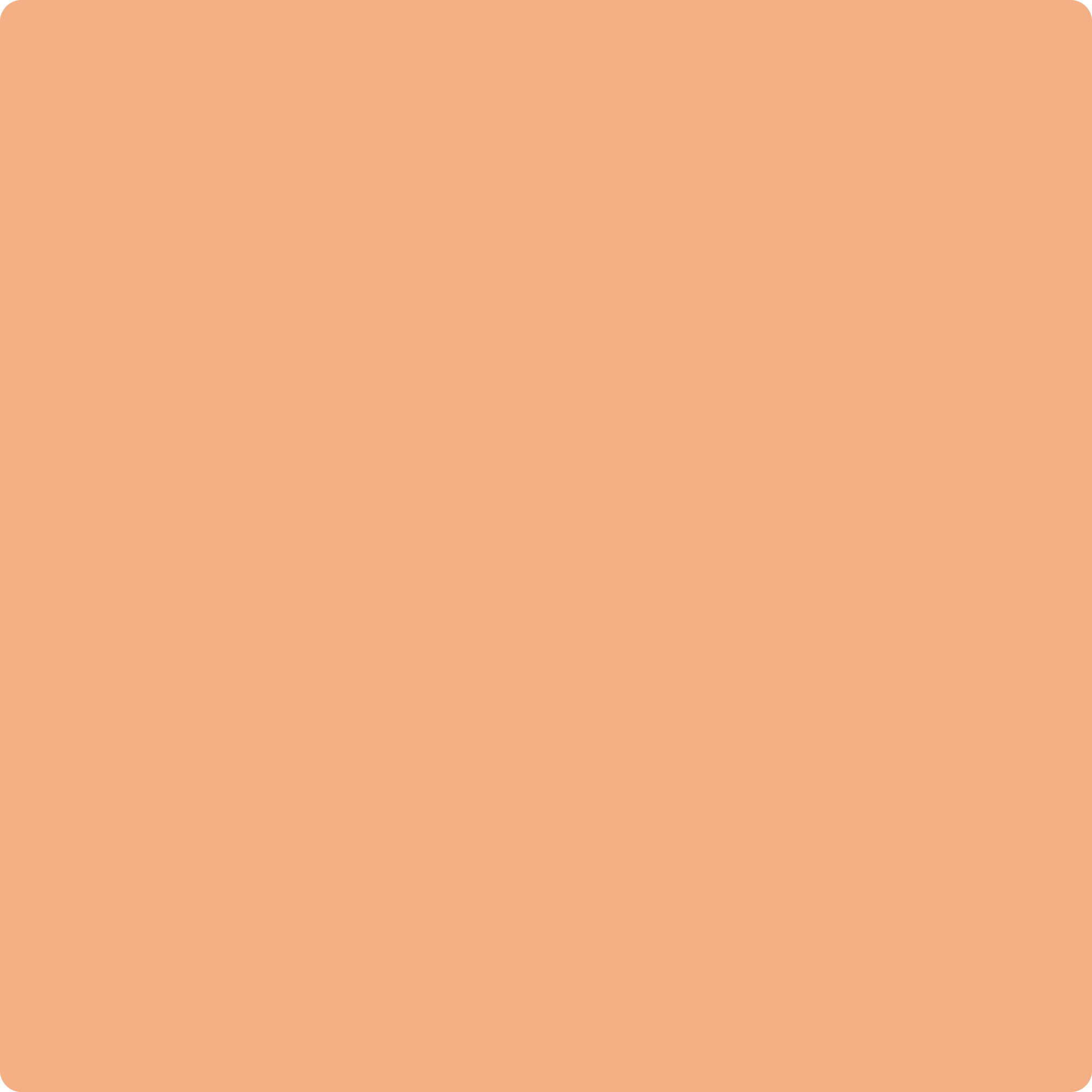 Shop 2167-40 Toffee Orange by Benjamin Moore at Wallauer Paint & Design. Westchester, Putnam, and Rockland County's local Benajmin Moore.