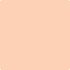 Shop 2167-50 Perfect Peach by Benjamin Moore at Wallauer Paint & Design. Westchester, Putnam, and Rockland County's local Benajmin Moore.