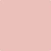 Shop 2172-60 Pink Hibuscus by Benjamin Moore at Wallauer Paint & Design. Westchester, Putnam, and Rockland County's local Benajmin Moore.