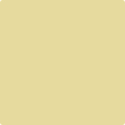 Shop 375 Yellow Clover by Benjamin Moore at Wallauer Paint & Design. Westchester, Putnam, and Rockland County's local Benajmin Moore.