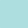 Shop 730 San Clemente Teal by Benjamin Moore at Wallauer Paint & Design. Westchester, Putnam, and Rockland County's local Benajmin Moore.
