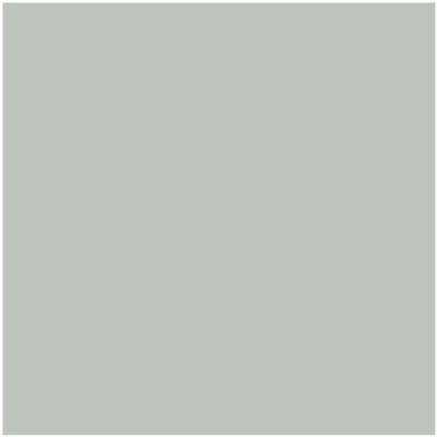Shop AF-490 Tranquillity by Benjamin Moore at Wallauer Paint & Design. Westchester, Putnam, and Rockland County's local Benajmin Moore.