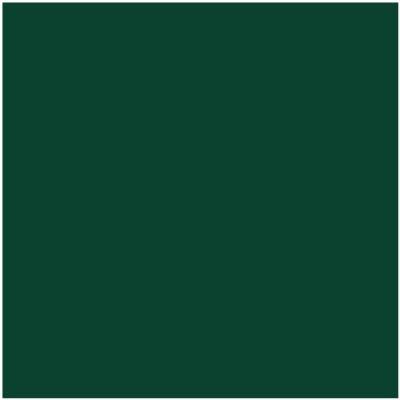 Shop HC-189 Chrome Green by Benjamin Moore at Wallauer Paint & Design. Westchester, Putnam, and Rockland County's local Benajmin Moore.