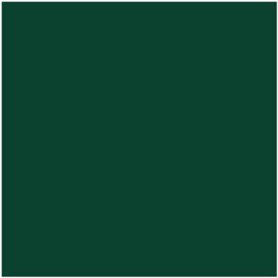 Shop HC-189 Chrome Green by Benjamin Moore at Wallauer Paint & Design. Westchester, Putnam, and Rockland County's local Benajmin Moore.