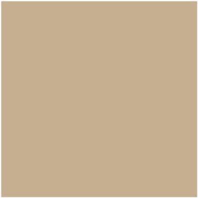 Shop HC-44 Lenox Tan by Benjamin Moore at Wallauer Paint & Design. Westchester, Putnam, and Rockland County's local Benajmin Moore.