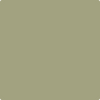 Shop AF-405 Thicket by Benjamin Moore at Wallauer Paint & Design. Westchester, Putnam, and Rockland County's local Benajmin Moore.