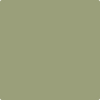 Shop AF-445 Aventurine by Benjamin Moore at Wallauer Paint & Design. Westchester, Putnam, and Rockland County's local Benajmin Moore.
