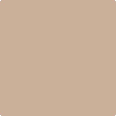Shop CC-366 Nubuck by Benjamin Moore at Wallauer Paint & Design. Westchester, Putnam, and Rockland County's local Benajmin Moore.