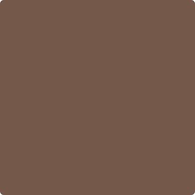 Shop CC-482 Chocolate Fondue by Benjamin Moore at Wallauer Paint & Design. Westchester, Putnam, and Rockland County's local Benajmin Moore.