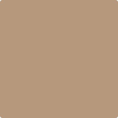 Shop CC-486 Tiramisu by Benjamin Moore at Wallauer Paint & Design. Westchester, Putnam, and Rockland County's local Benajmin Moore.