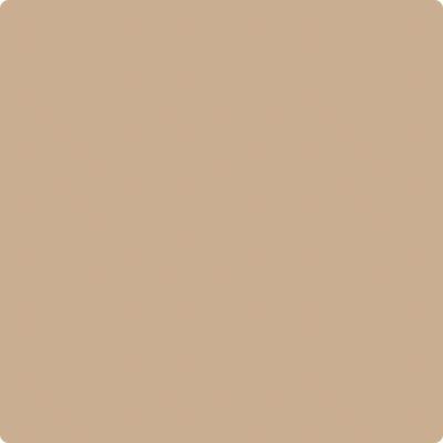 Shop CC-488 Biscotti by Benjamin Moore at Wallauer Paint & Design. Westchester, Putnam, and Rockland County's local Benajmin Moore.