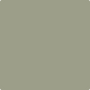 Shop CC-560 Raintree Green by Benjamin Moore at Wallauer Paint & Design. Westchester, Putnam, and Rockland County's local Benajmin Moore.