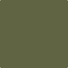 cc-666-bonsai_177e5cb2-554b-
