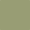 Shop CC-668 Misted Fern by Benjamin Moore at Wallauer Paint & Design. Westchester, Putnam, and Rockland County's local Benajmin Moore.