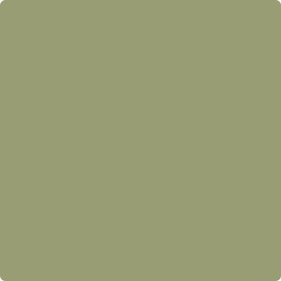 Shop CC-668 Misted Fern by Benjamin Moore at Wallauer Paint & Design. Westchester, Putnam, and Rockland County's local Benajmin Moore.
