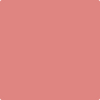 Shop CSP-1175 Pink Flamingo by Benjamin Moore at Wallauer Paint & Design. Westchester, Putnam, and Rockland County's local Benajmin Moore.