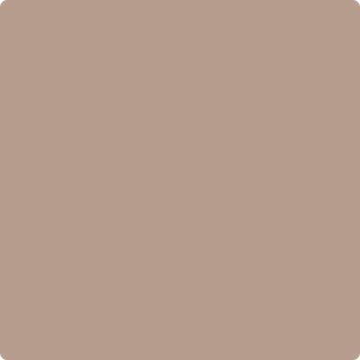 CSP-350 Whipped Mocha by Benjamin Moore | Wallauer's Paint
