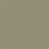 Shop HC-110 Weatherfield Moss by Benjamin Moore at Wallauer Paint & Design. Westchester, Putnam, and Rockland County's local Benajmin Moore.
