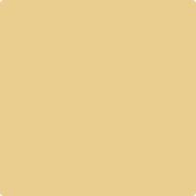Shop HC-12 Concord Ivory by Benjamin Moore at Wallauer Paint & Design. Westchester, Putnam, and Rockland County's local Benajmin Moore.